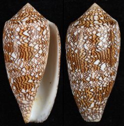 Cylinder textile textile